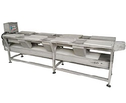 PT-307-2分拣台