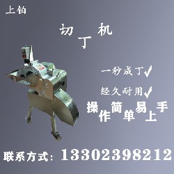 PT-800切丁机