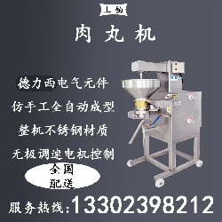 PT-200肉丸机