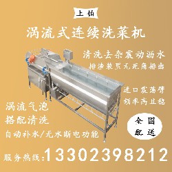 PT-307涡流式连续洗菜机