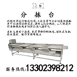 PT-307-2分拣台