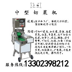 PT-1900M中型切菜机